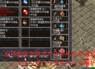 龙源血路为何成为传奇私服最难地图?三大核心难点与通关技巧全解析 龙源血路为何成为传奇私服最难地图?三大核心难点与通关技巧全解析