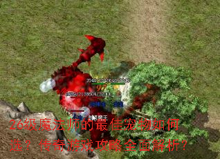 26级魔法师的最佳宠物如何选?传奇游戏攻略全面解析? 26级魔法师的最佳宠物如何选?传奇游戏攻略全面解析?