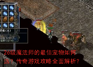26级魔法师的最佳宠物如何选?传奇游戏攻略全面解析? 26级魔法师的最佳宠物如何选?传奇游戏攻略全面解析?