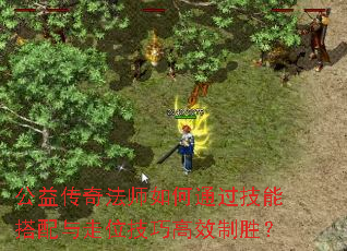 公益传奇法师如何通过技能搭配与走位技巧高效制胜? 公益传奇法师如何通过技能搭配与走位技巧高效制胜?