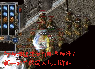 行会清理成员有哪些标准?新手必看的踢人规则详解 行会清理成员有哪些标准?新手必看的踢人规则详解
