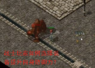 战士玩家如何选择装备提升自身防御力? 战士玩家如何选择装备提升自身防御力?