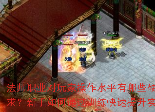法师职业对玩家操作水平有哪些硬性要求?新手如何通过训练快速提升实力? 法师职业对玩家操作水平有哪些硬性要求?新手如何通过训练快速提升实力?