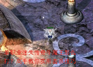 单职业<a href=