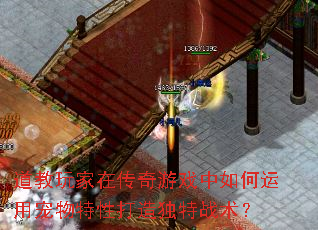 道教玩家在传奇游戏中如何运用宠物特性打造独特战术? 道教玩家在传奇游戏中如何运用宠物特性打造独特战术?