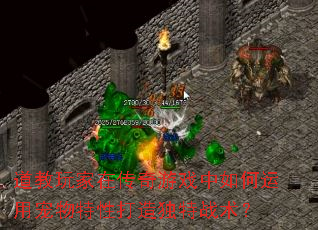 道教玩家在传奇游戏中如何运用宠物特性打造独特战术? 道教玩家在传奇游戏中如何运用宠物特性打造独特战术?