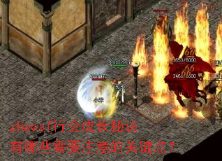 zhaosf行会成长秘诀有哪些需要注意的关键点? zhaosf行会成长秘诀有哪些需要注意的关键点?