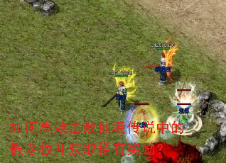 如何高效击败仙境传说中的假老板并获取稀有奖励? 如何高效击败仙境传说中的假老板并获取稀有奖励?
