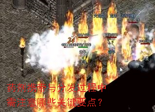药剂携带与分发过程中需注意哪些关键要点? 药剂携带与分发过程中需注意哪些关键要点?