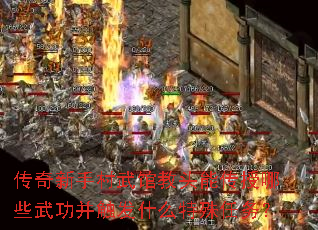 传奇新手村武馆教头能传授哪些武功并触发什么特殊任务? 传奇新手村武馆教头能传授哪些武功并触发什么特殊任务?