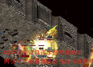 CQSF玩家背包药水携带策略如何优化才能兼顾续航与战斗效率? CQSF玩家背包药水携带策略如何优化才能兼顾续航与战斗效率?