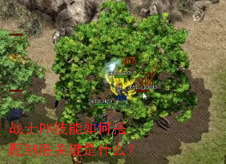 战士PK技能如何搭配制胜关键是什么? 战士PK技能如何搭配制胜关键是什么?