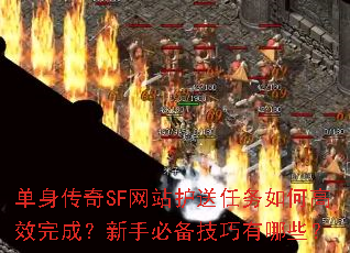 单身传奇SF网站护送任务如何高效完成?新手必备技巧有哪些? 单身传奇SF网站护送任务如何高效完成?新手必备技巧有哪些?