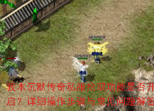 我本沉默传奇私服拾取功能是否开启?详细操作步骤与常见问题解答 我本沉默传奇私服拾取功能是否开启?详细操作步骤与常见问题解答