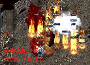 传奇毒蛇山谷中会遇到哪些致命怪物? 传奇毒蛇山谷中会遇到哪些致命怪物?