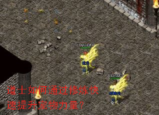 <a href=