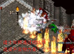 道士如何通过修炼快速提升宠物力量? 道士如何通过修炼快速提升宠物力量?
