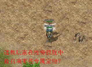 道教玩家在传奇游戏中能召唤哪些专属宠物? 道教玩家在传奇游戏中能召唤哪些专属宠物?