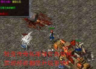 䴫˽ʵ־鷭죿