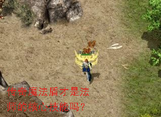 传奇魔法盾才是法师的核心技能吗? 传奇魔法盾才是法师的核心技能吗?