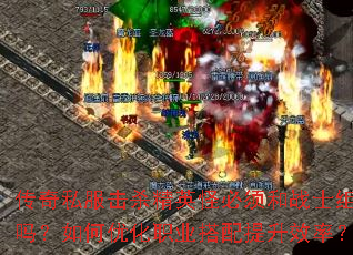 ˽ɱӢֱսʿŻְҵЧʣ