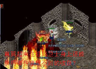 真算起来在祖玛卫士身上还能获得哪些意想不到的收获? 真算起来在祖玛卫士身上还能获得哪些意想不到的收获?