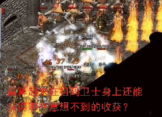 真算起来在祖玛卫士身上还能获得哪些意想不到的收获? 真算起来在祖玛卫士身上还能获得哪些意想不到的收获?