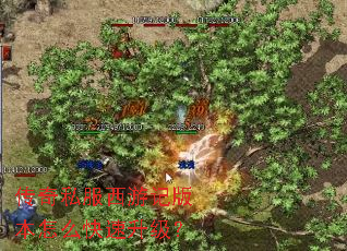 传奇私服西游记版本怎么快速升级? 传奇私服西游记版本怎么快速升级?
