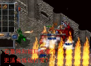 石墓阵和祖玛阁哪个更适合练级打宝? 石墓阵和祖玛阁哪个更适合练级打宝?