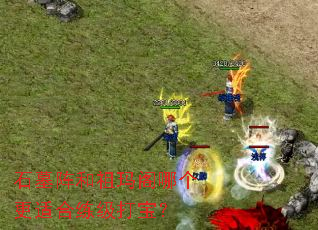 石墓阵和祖玛阁哪个更适合练级打宝? 石墓阵和祖玛阁哪个更适合练级打宝?