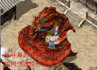 战斗靠的是实战经验?如何快速提升战斗力? 战斗靠的是实战经验?如何快速提升战斗力?