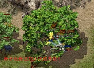 新手玩新区如何快速升级? 新手玩新区如何快速升级?