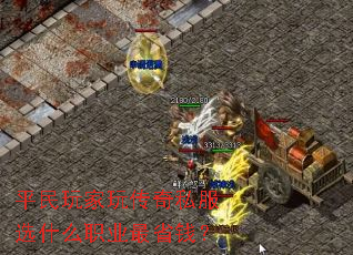 ƽ洫˽ѡʲôְҵʡǮ