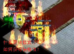 什么是精修武学?如何获得精修值? 什么是精修武学?如何获得精修值?