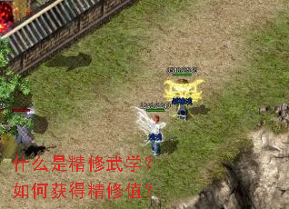 什么是精修武学?如何获得精修值? 什么是精修武学?如何获得精修值?