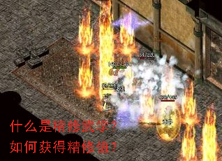 什么是精修武学?如何获得精修值? 什么是精修武学?如何获得精修值?