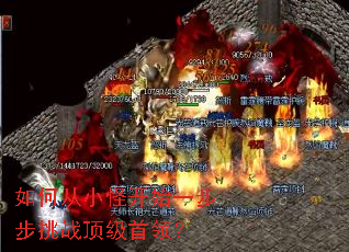 如何从小怪开始一步步挑战顶级首领? 如何从小怪开始一步步挑战顶级首领?