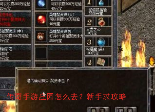 传奇手游庄园怎么去?新手求攻略 传奇手游庄园怎么去?新手求攻略