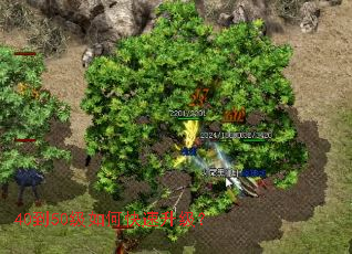 40到50级如何快速升级? 40到50级如何快速升级?