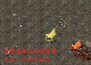 天妖重生戒指哪里爆率高?我来告诉你 天妖重生戒指哪里爆率高?我来告诉你