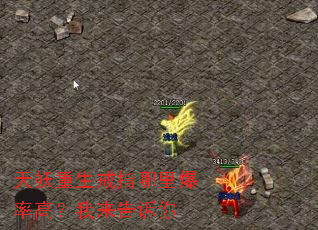 天妖重生戒指哪里爆率高?我来告诉你 天妖重生戒指哪里爆率高?我来告诉你