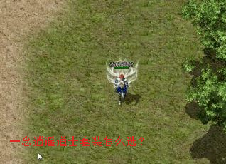 一念逍遥道士套装怎么选? 一念逍遥道士套装怎么选?