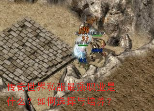 传奇世界私服最强职业是什么?如何选择与培养? 传奇世界私服最强职业是什么?如何选择与培养?