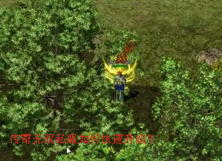 传奇无双私服如何快速升级? 传奇无双私服如何快速升级?