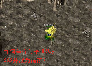 如何争夺传奇世界BOSS并成为赢家? 如何争夺传奇世界BOSS并成为赢家?