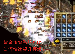 紫金传奇私服攻略:如何快速提升等级? 紫金传奇私服攻略:如何快速提升等级?