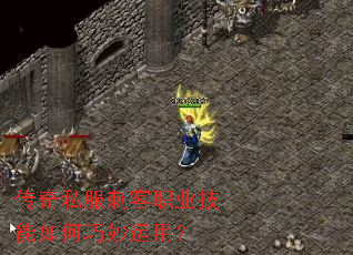 传奇私服刺客职业技能如何巧妙运用? 传奇私服刺客职业技能如何巧妙运用?