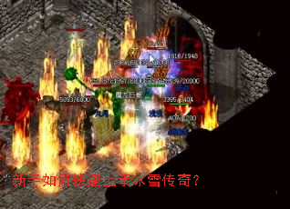 新手如何快速上手冰雪传奇? 新手如何快速上手冰雪传奇?