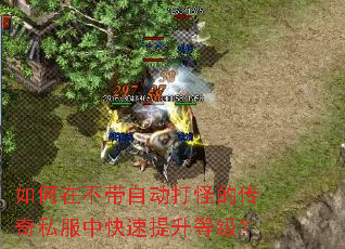 如何在不带自动打怪的传奇私服中快速提升等级? 如何在不带自动打怪的传奇私服中快速提升等级?