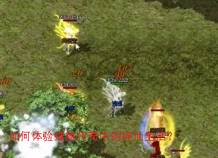 如何体验蝶舞传奇中的神仙生活? 如何体验蝶舞传奇中的神仙生活?